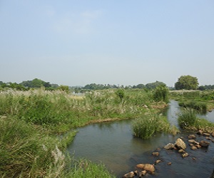 Use Of Micro-Watersheds: Thamirabarani River Basin In Tirunelveli District